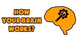 Your Brain At Work By David Rock | Animated Book Summary