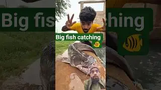 Amazing big fish | how to catch fish | machali pakdne ka tarika | #trending #viral #shorts #short