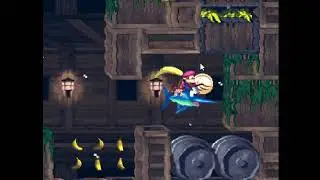 Chaos Damage Shuffler - DKC2; SotN [Stream No. 9]
