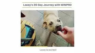 Lacey's 20-Day Journey with WINPRO