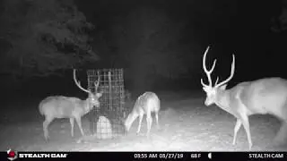 Baker 3 Ranch  (Cottonseed)