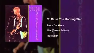 Bruce Cockburn - To Raise The Morning Star