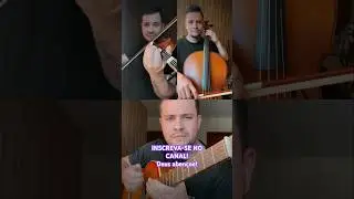 VIOLINO, VIOLONCELO E VIOLA CAPIRA! #tocataccb #violino #ccbviolino #musica #ccb #tocatasccb