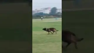 Attack on double decoy, PSA scenario