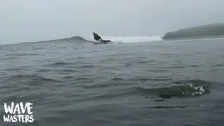 Finless surfing tiny summer waves - POV Surfing