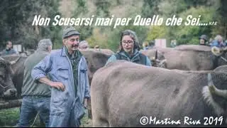 Ricordi anno 2019 Azienda Agricola Paolo Tondina (Nebbiuno )(NO)