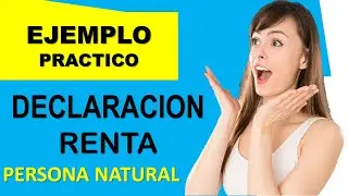 ► Como hacer una DECLARACI&Oacute;N de RENTA PERSONA natural 2020 (paso a paso Colombia )