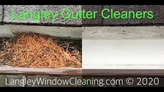 Gutter Cleaning Company near Langley, BC - Gutter Vacuuming Process Demonstrated + Explained