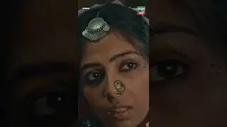 Hakeem Ki Baat Dil Pe Mat Lo..! 🔥 | #greentv #greenlamhay #jindo #shorts