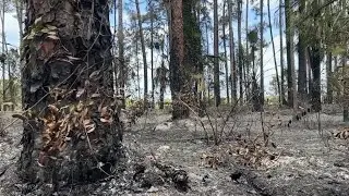 'Fire loves this weather:' Brush fire sparks concern with development continuing