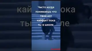 ну да... лютый мемас от АРТЕМАЙЛА 