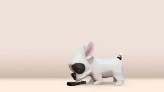3D Dog Logo Reveal Pack | The Best After Effects Templates