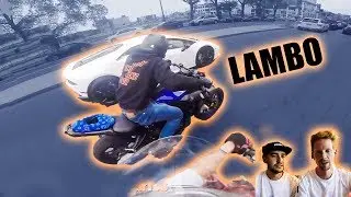 WIR REAGIEREN AUF ROAD RAGE VIDEOS