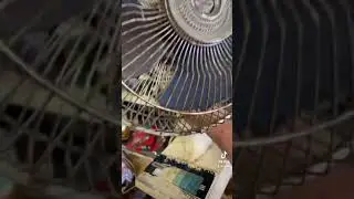 What makes these fans so valuable on Ebay?