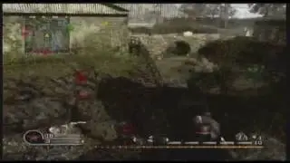 Cod4 1080