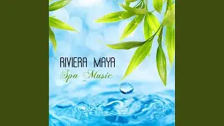 Spa Ritual Spa Healing Music for Deep Sleep and Meditation