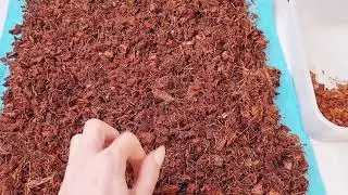 Kokoschips sind nicht alle gleich.