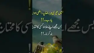 Ameen Suma Ameen # wrait Ameen # Short video #