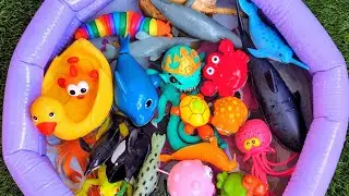Sea Animals for Kids | Colorful Ocean Animal Name Learning for Preschool Education