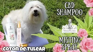 PETALS AND TAILS CBD Shampoo & Misting Spray, DEMO, Coton de Tulear I Lorentix