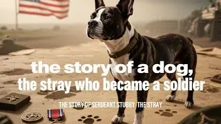 The True Story of Sergeant Stubby: Boston Terrier mix 🐾 | WWI History Reimagined
