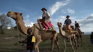 Kenya : des safaris &agrave; dos de dromadaires pour promouvoir l'&eacute;cotourisme