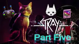 Stray - Part 5 | Returning the Notebooks to Momo | Morusque serenades us
