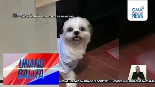 Reaksyon ng fur baby na tinawag na guwapo, kinaaaliwan online | Unang Hirit