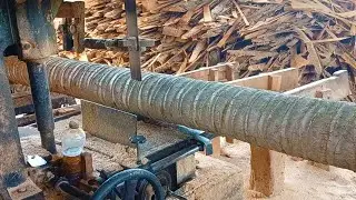 Double Sawing of Coconut Trees &ndash; The Ultimate Woodcutting Challenge!