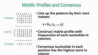 Motifs Profiles and Consensus