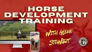 What to do with a Yearling | Horse Development Training with Glenn Stewart