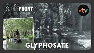 Le glyphosate a-t-il tué la Venise verte ? - #SurLeFront avec Hugo Clément
