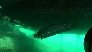 Vydařený víkend na Senci lokalita Diveinn.