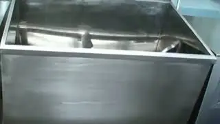 CH Trough Mixer
