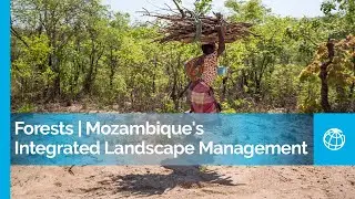 Forest and Land Degradation: Stories from the Mozambique&rsquo;s Integrated Landscape Management Portfolio