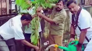 🌿 **GoldenNest Welfare Education Foundation presents a Green Environment Initiative!** 🌿
