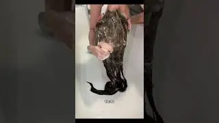 Уход за пористыми волосами
