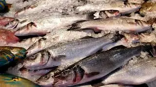 Local Fish Market in Hawaii @TheHappsters