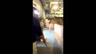 Niles North High School - Aquatics Facility Update (8.15.12)