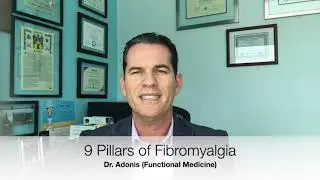 9 Pillars of Fibromyalgia Dr. Adonis Functional Medicine