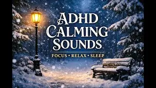ADHD Calming Sounds ❄️ Winter Forest Wind | Narnia Night Ambience | Focus & Sleep