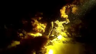 Inmersi&oacute;n nocturna en la playa de Ris, Noja(Cantabria)