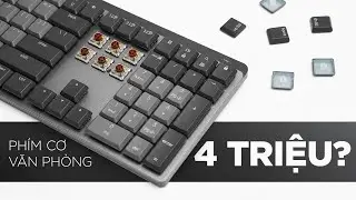 Vượt qu&aacute; k&igrave; vọng! Đ&aacute;nh gi&aacute; b&agrave;n ph&iacute;m cơ Logitech Mx Mechanical