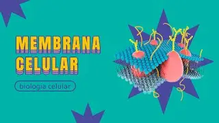 Membrana Plasmática | BIOLOGIA CELULAR 1