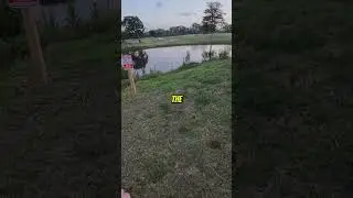 WARNING: Don't mess with the gators #fishing #bassfishing #shorts