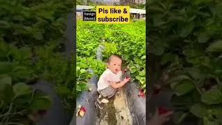 cute trisha #viral #trending #trisha #baby #cutebaby #ytshorts #cute #shhort #video #song #comedy