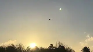 Timelapse, sunrise & sunset Meditation