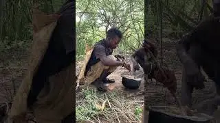 How hadzabe make poison arrows for hunting. #hadzabetribe #africa #hadza #africantribe