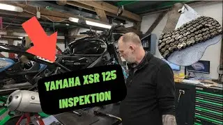 👉 Yamaha XSR 125 Inspektion, Ventilspiel einstellen & Bremsen pr&uuml;fen.