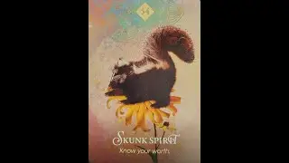 🦨 SKUNK is the Spirit Animal Oracle for today ~ Know your worth